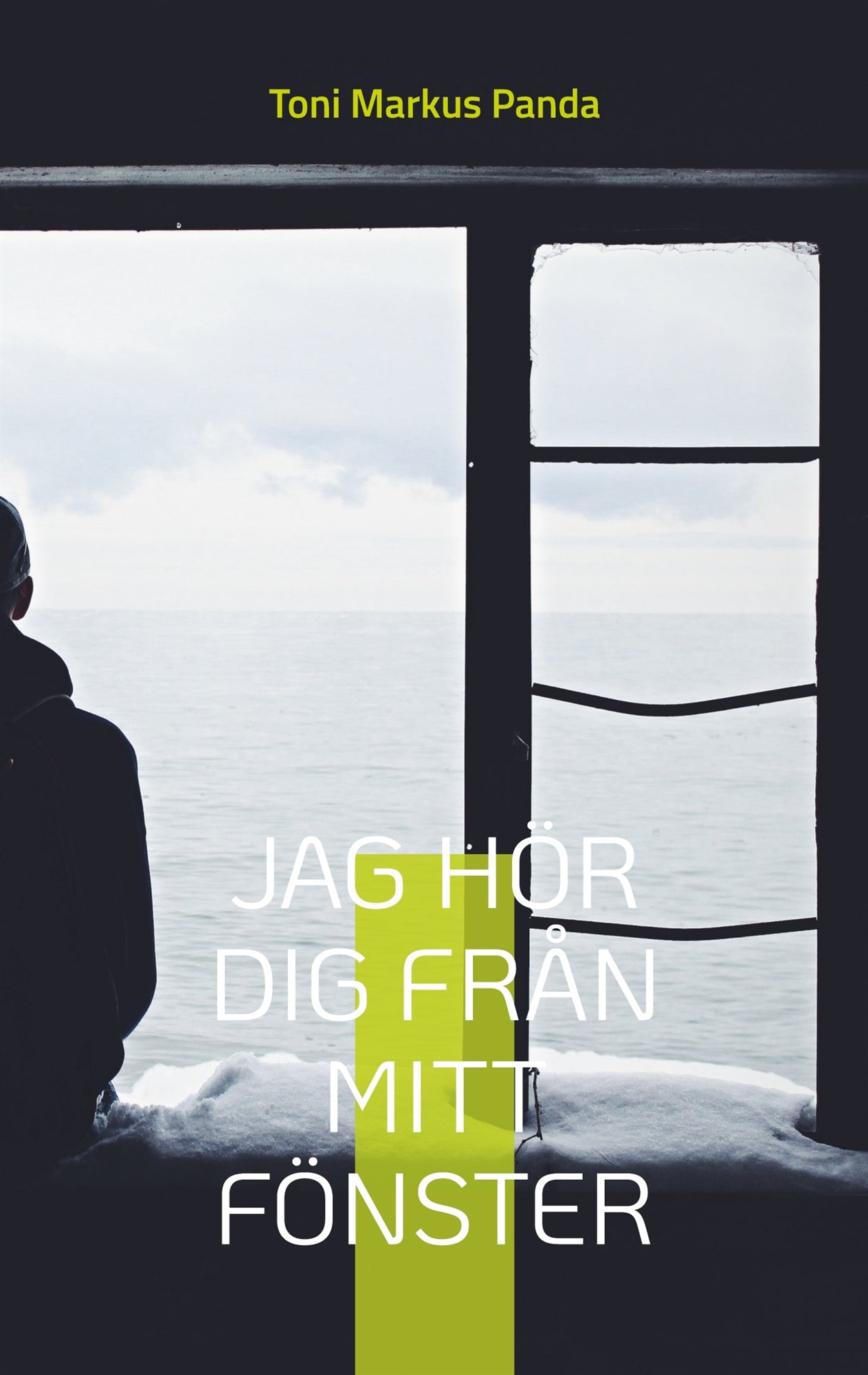 Jag hör dig från mitt fönster – E-bok