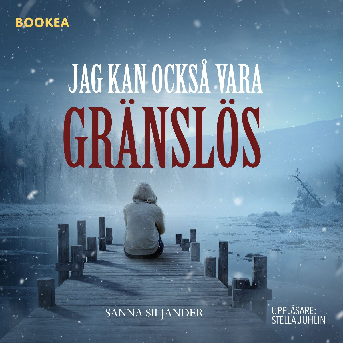 Jag kan också vara gränslös – Ljudbok