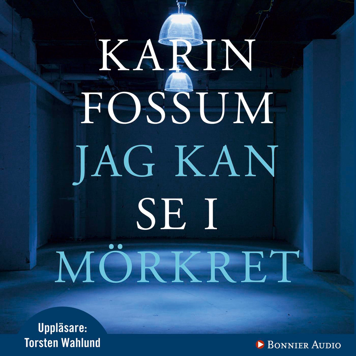 Jag kan se i mörkret – Ljudbok