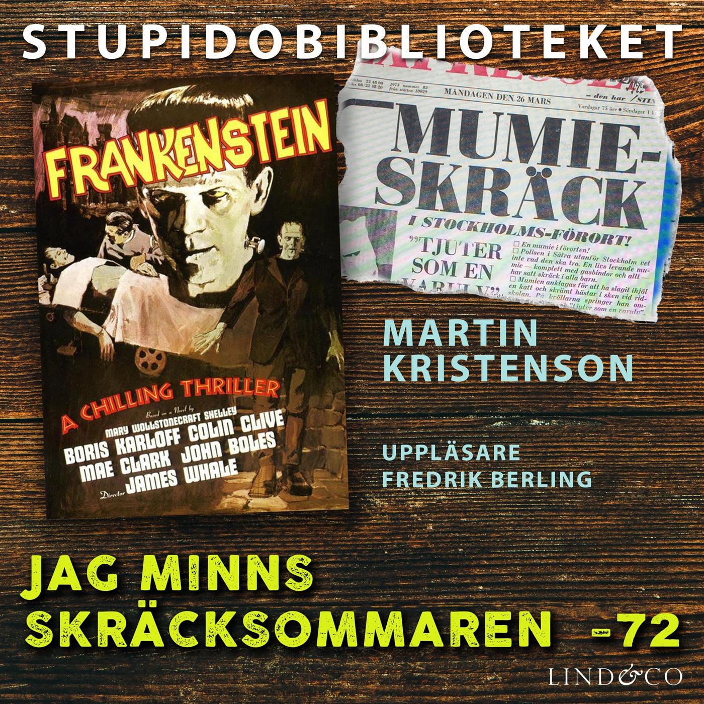 Jag minns skräcksommaren -72 – Ljudbok