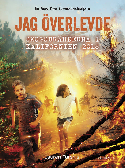 Jag överlevde skogsbränderna i Kalifornien 2018 – E-bok