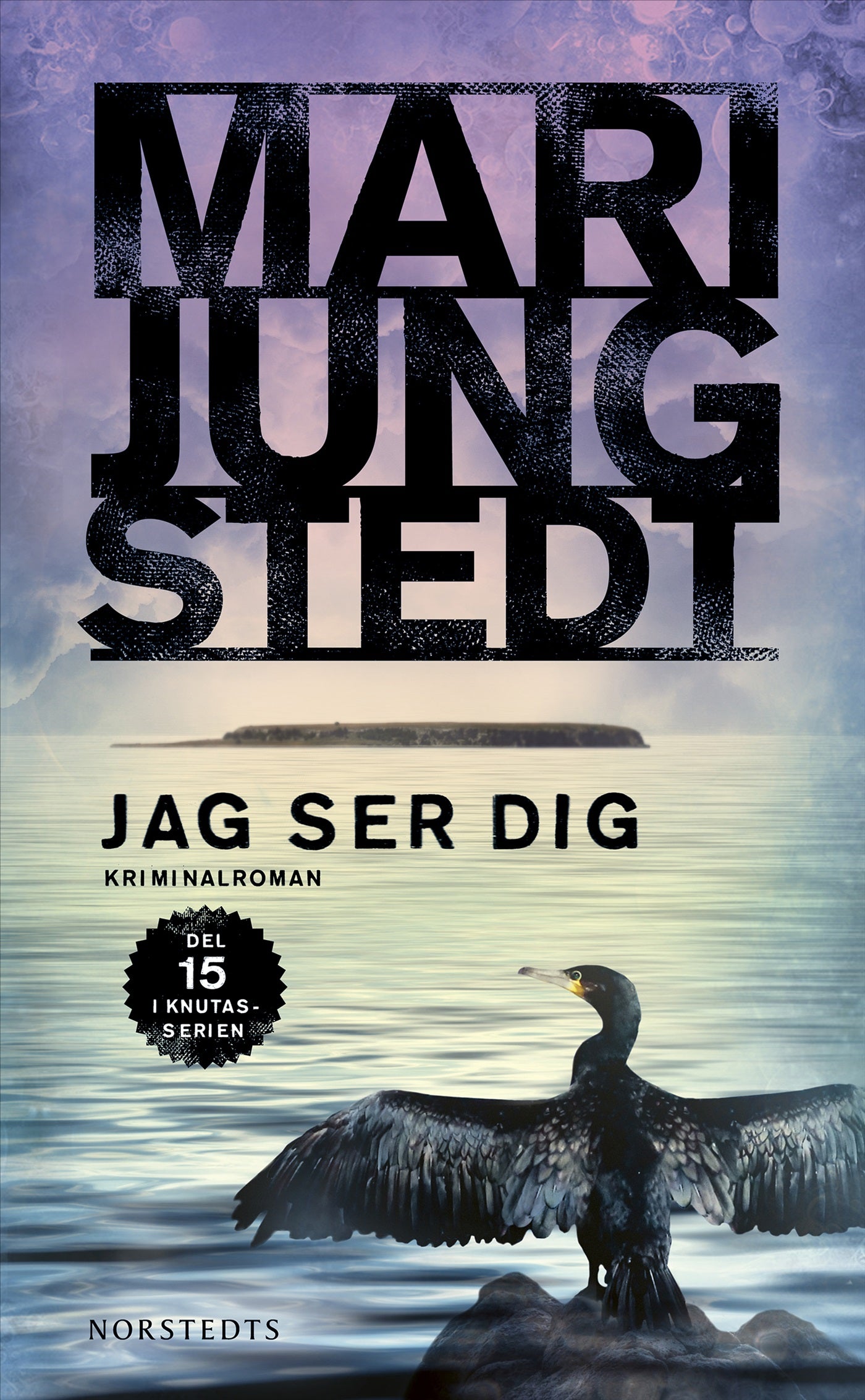 Jag ser dig – E-bok
