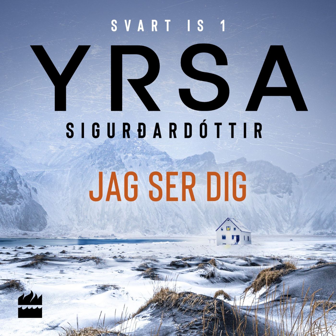 Jag ser dig – Ljudbok