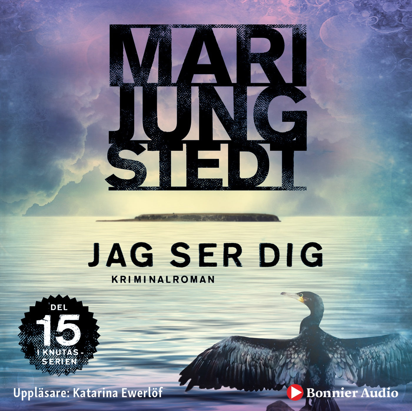 Jag ser dig – Ljudbok
