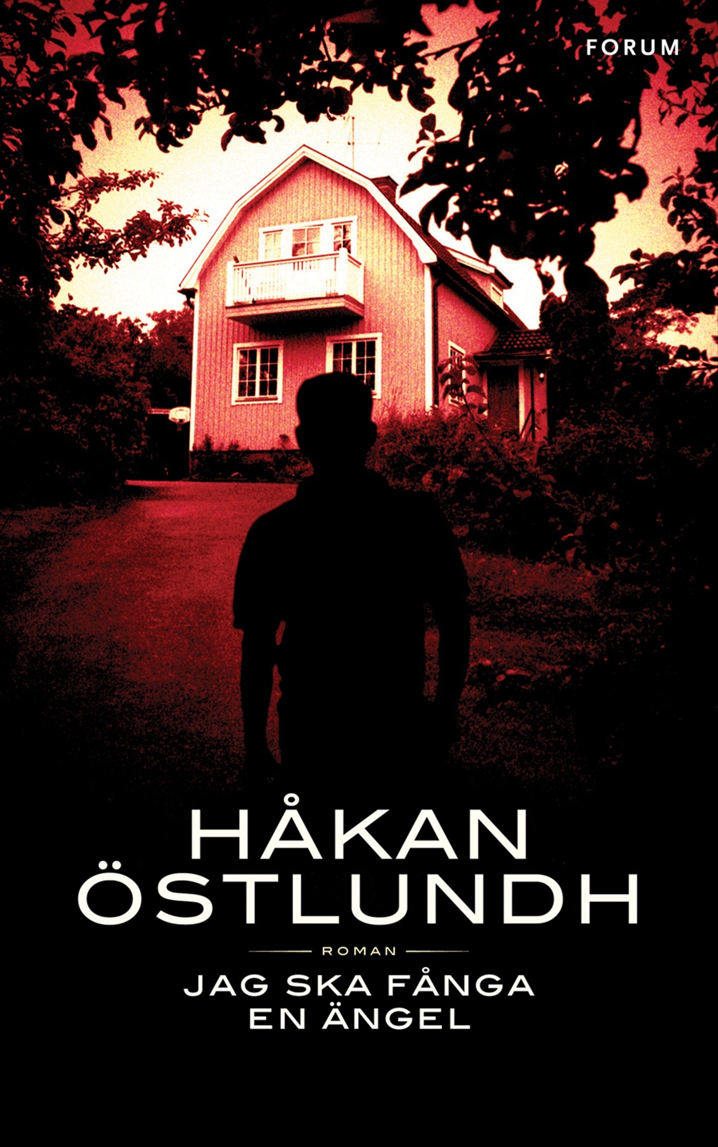 Jag ska fånga en ängel – E-bok