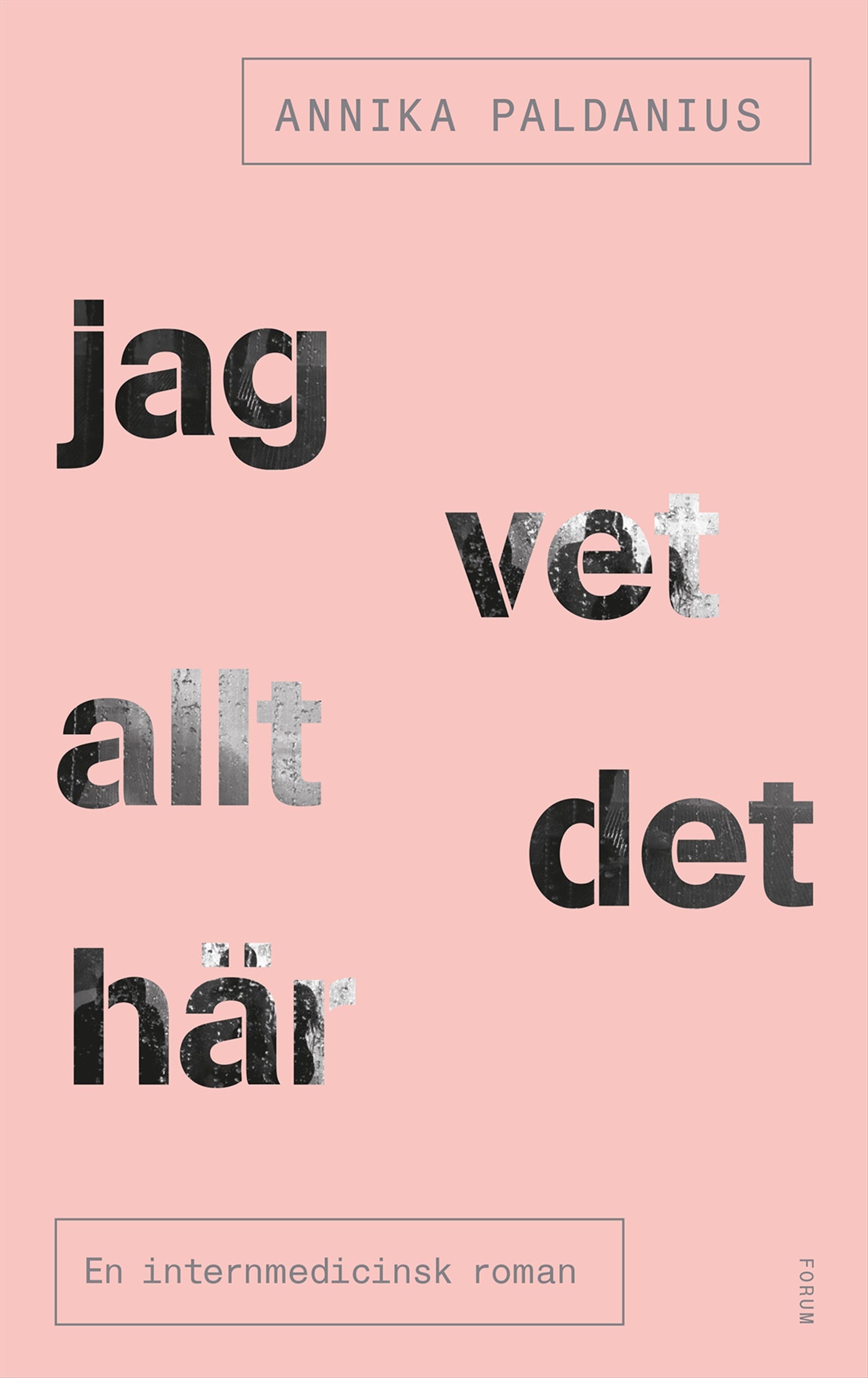 Jag vet allt det här : en internmedicinsk roman – E-bok