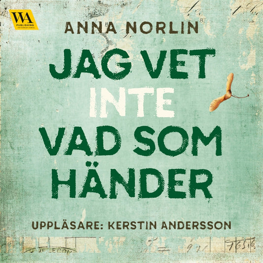 Jag vet inte vad som händer – Ljudbok