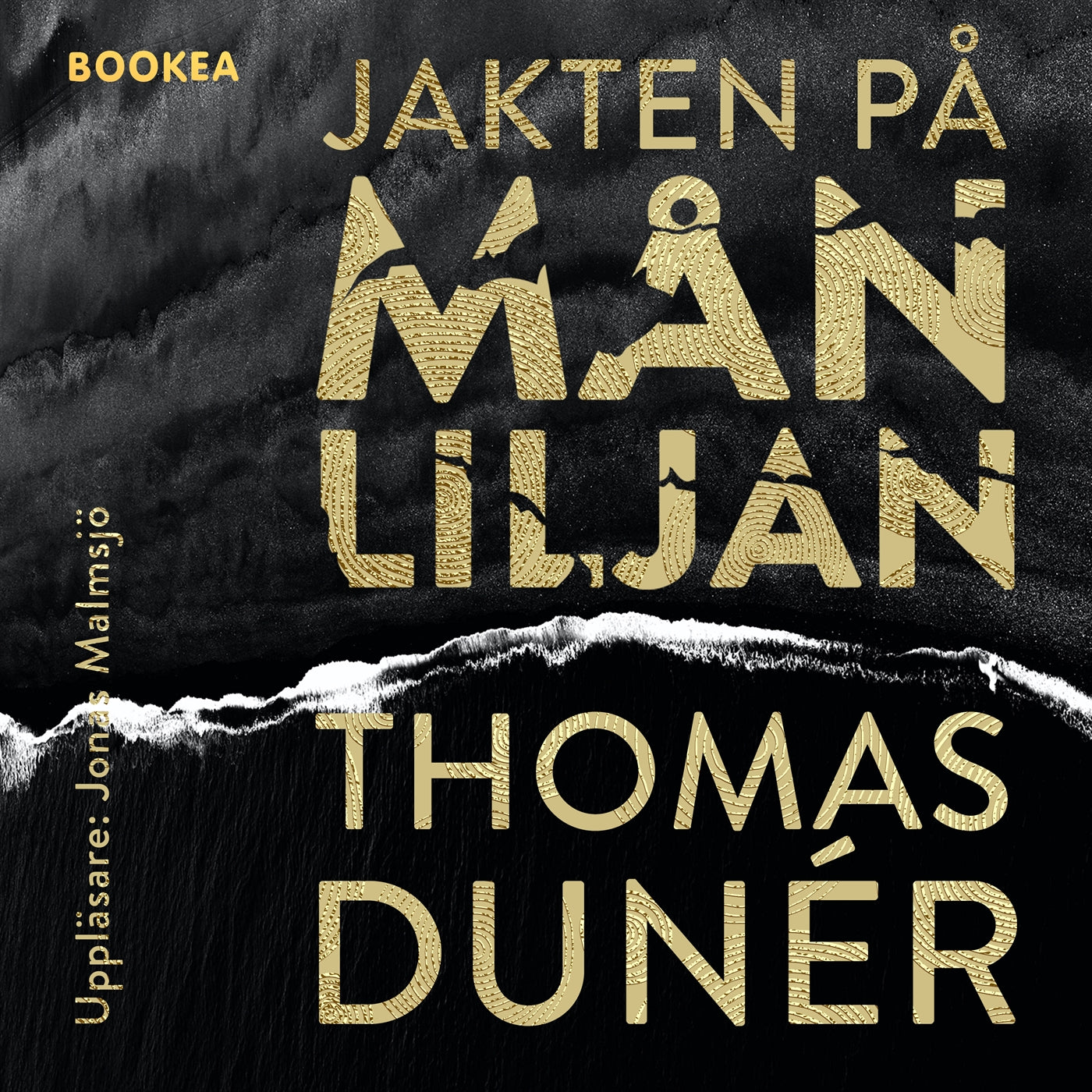 Jakten på Månliljan – Ljudbok