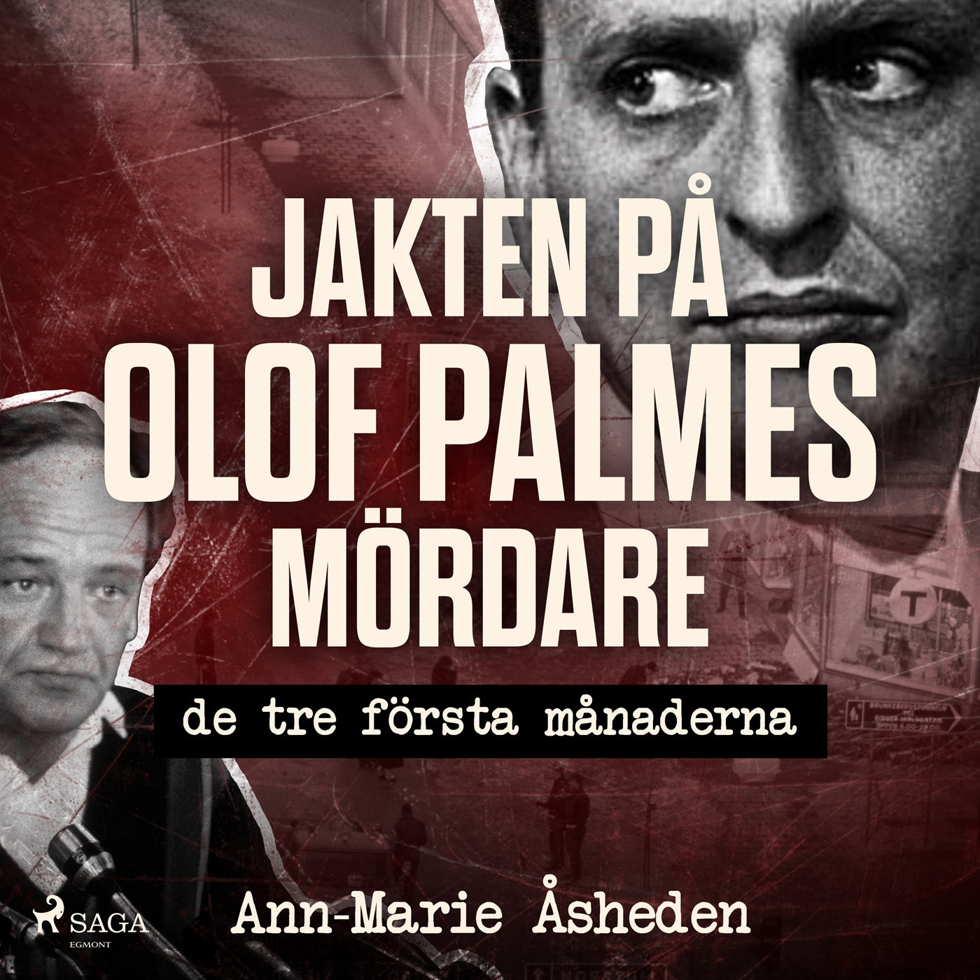 Jakten på Olof Palmes mördare – Ljudbok