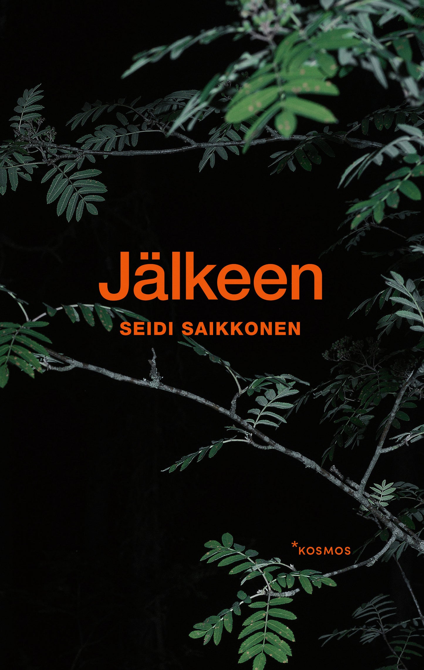 Jälkeen – E-bok