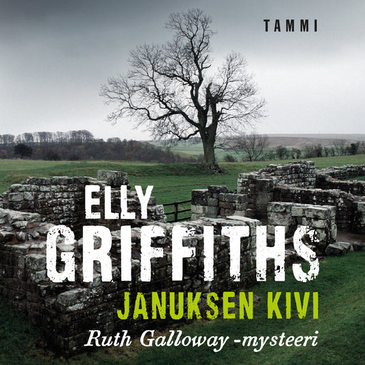 Januksen kivi – Ljudbok