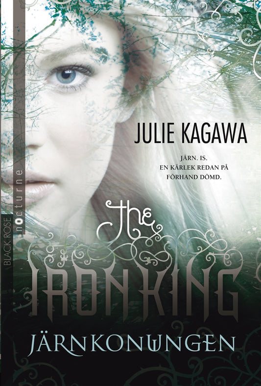 Järnkonungen – E-bok