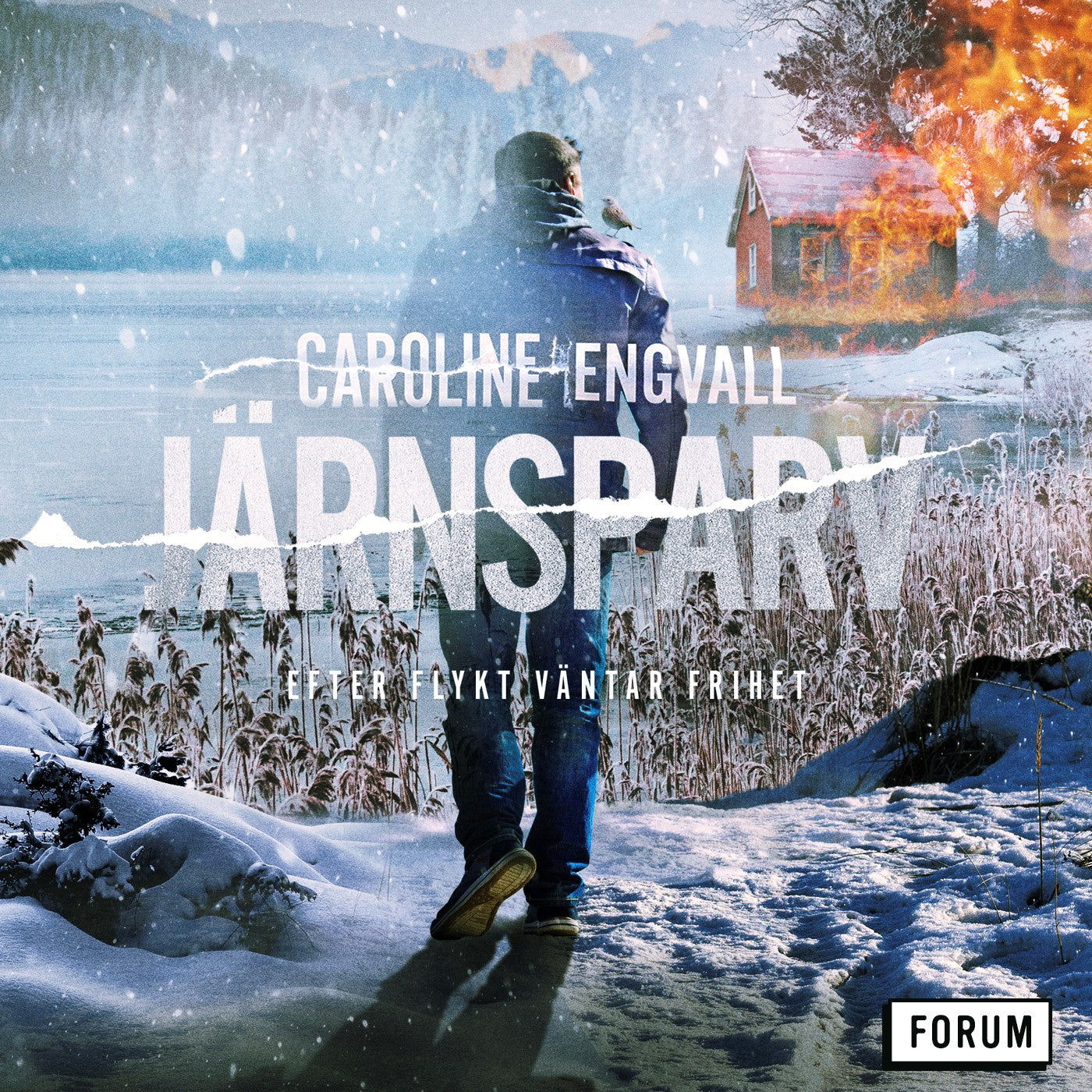 Järnsparv – Ljudbok