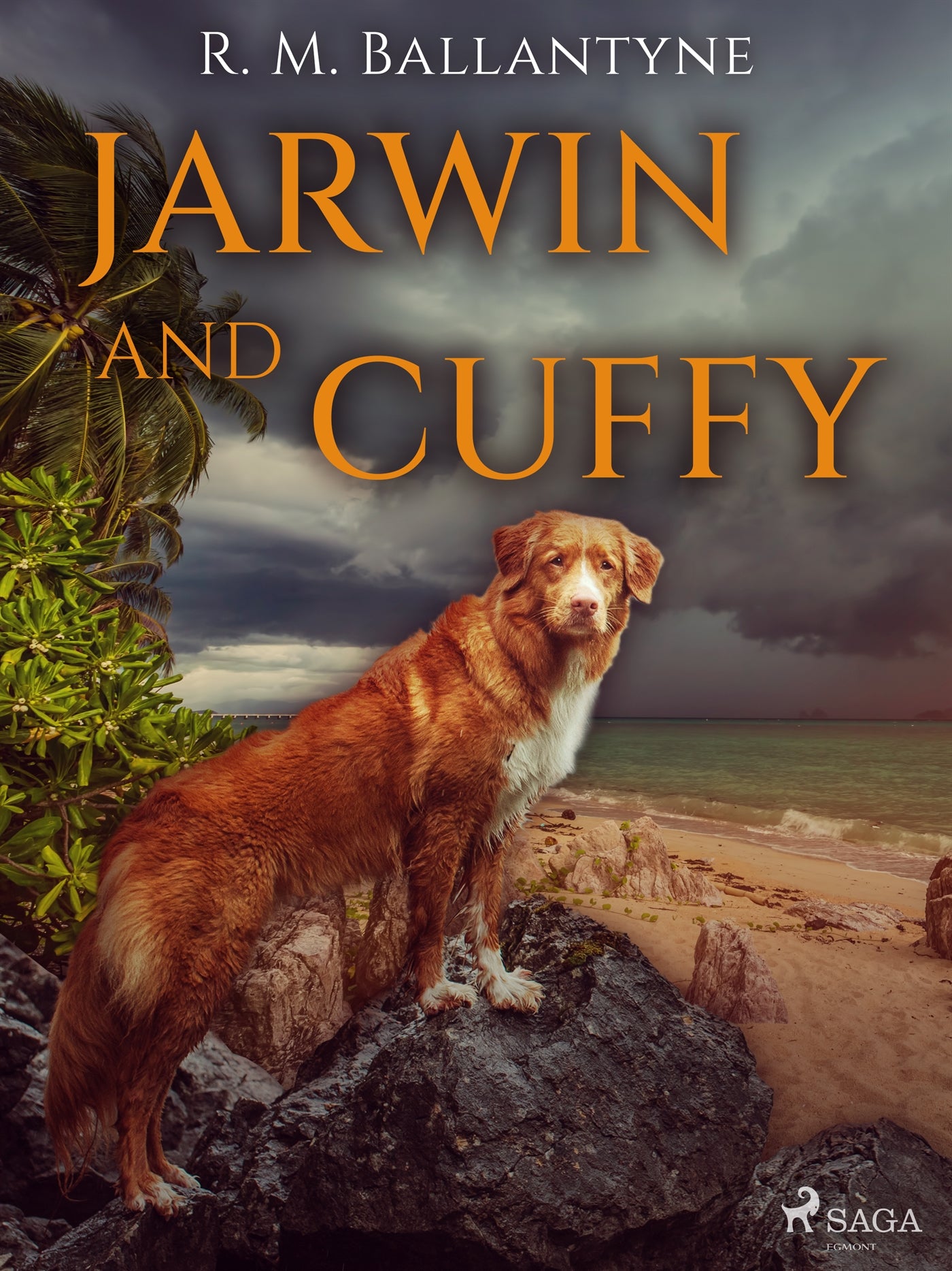 Jarwin and Cuffy – E-bok
