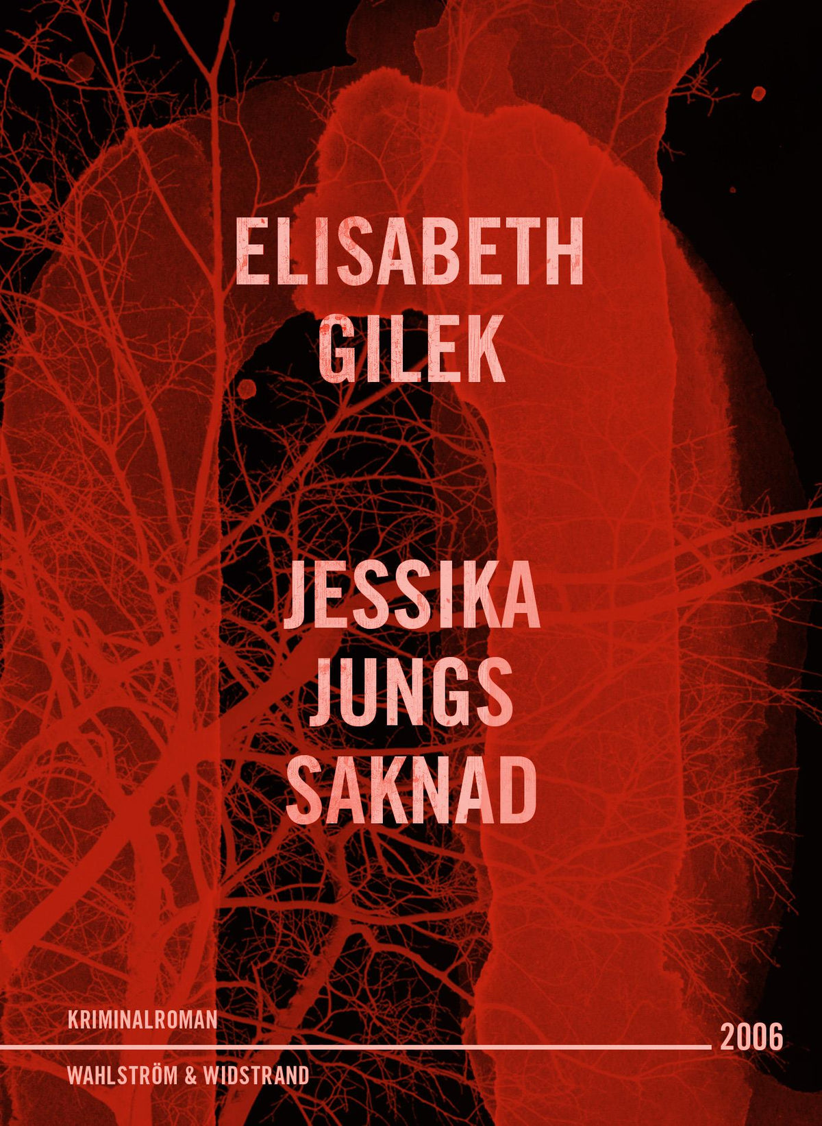 Jessika Jungs saknad – E-bok