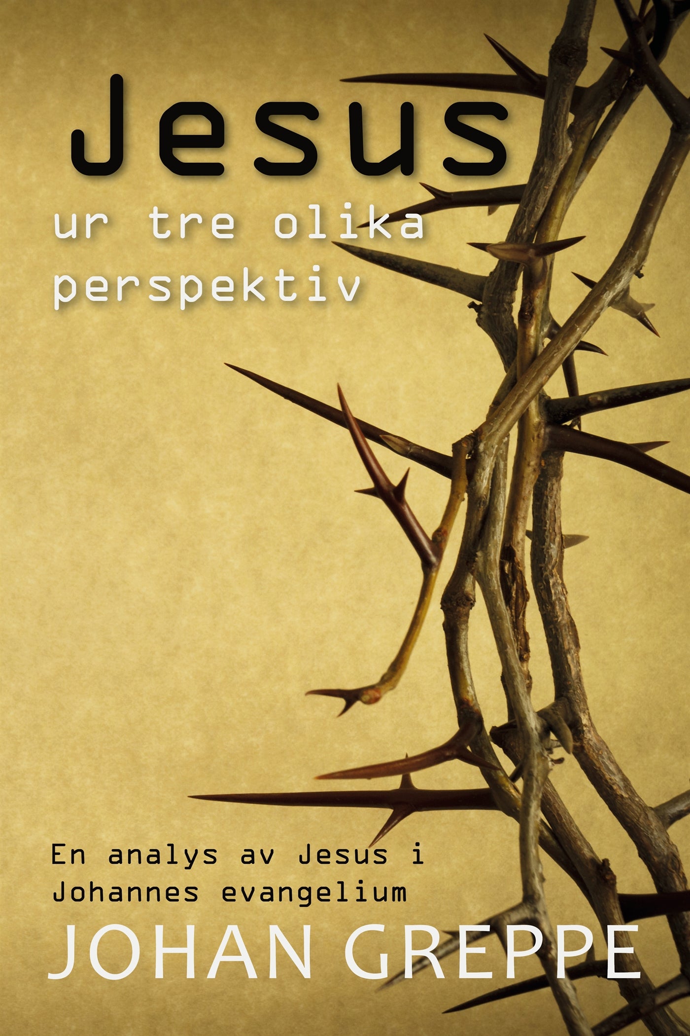 Jesus ur tre olika perspektiv – E-bok