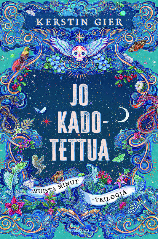 Jo kadotettua – E-bok