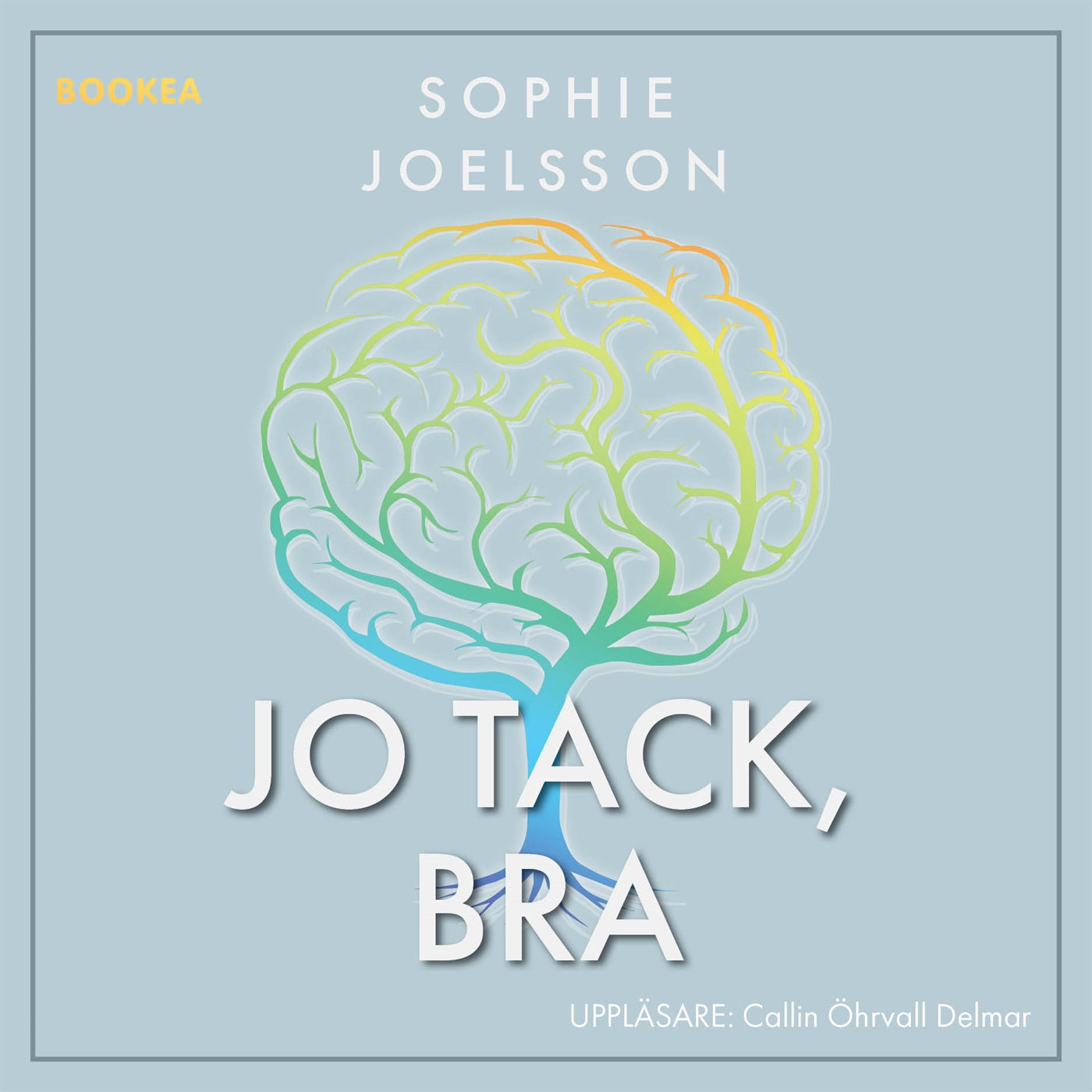 Jo tack, bra – Ljudbok