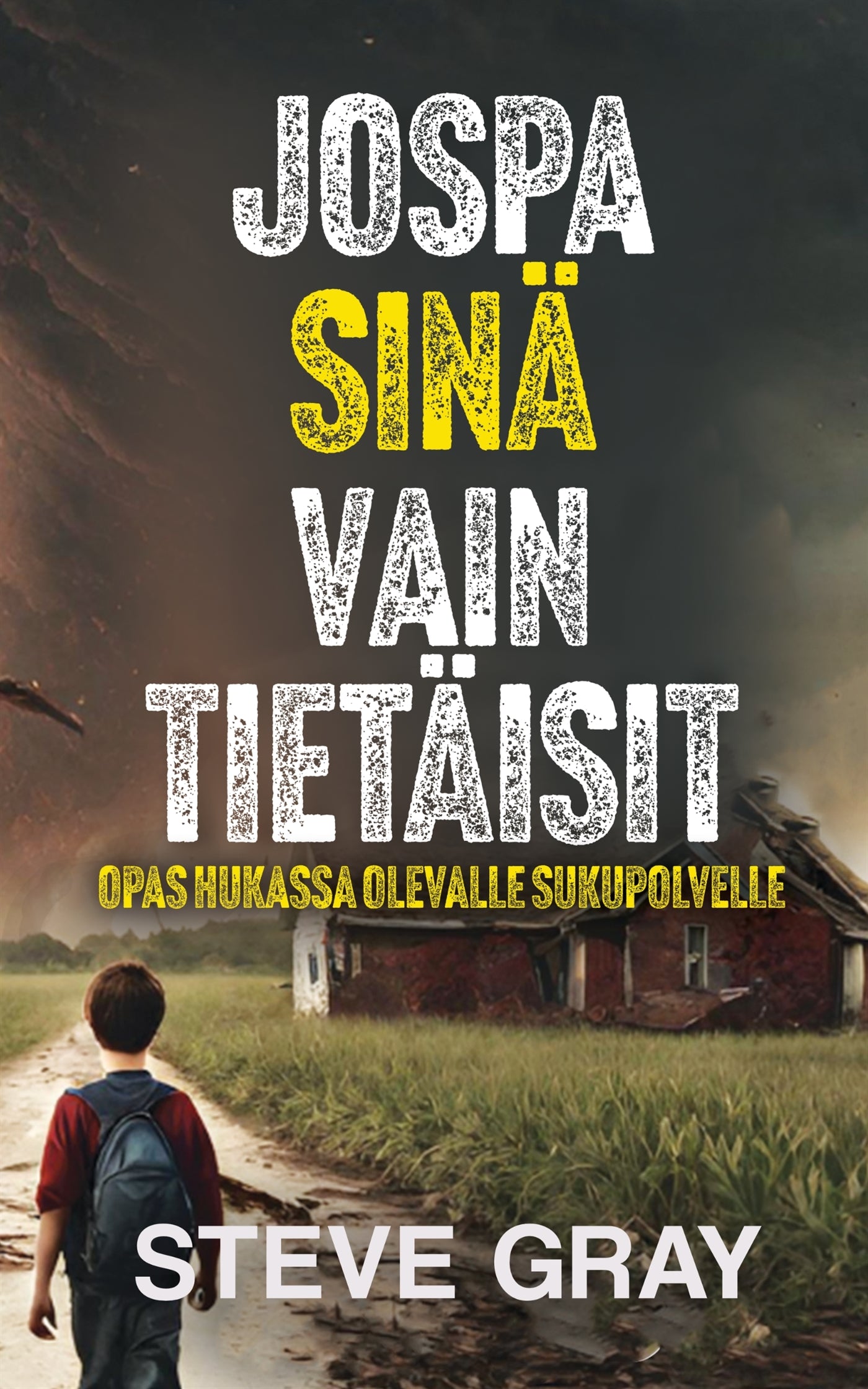 Jospa sinä vain tietäisit: Opas hukassa olevalle sukupolvelle – E-bok