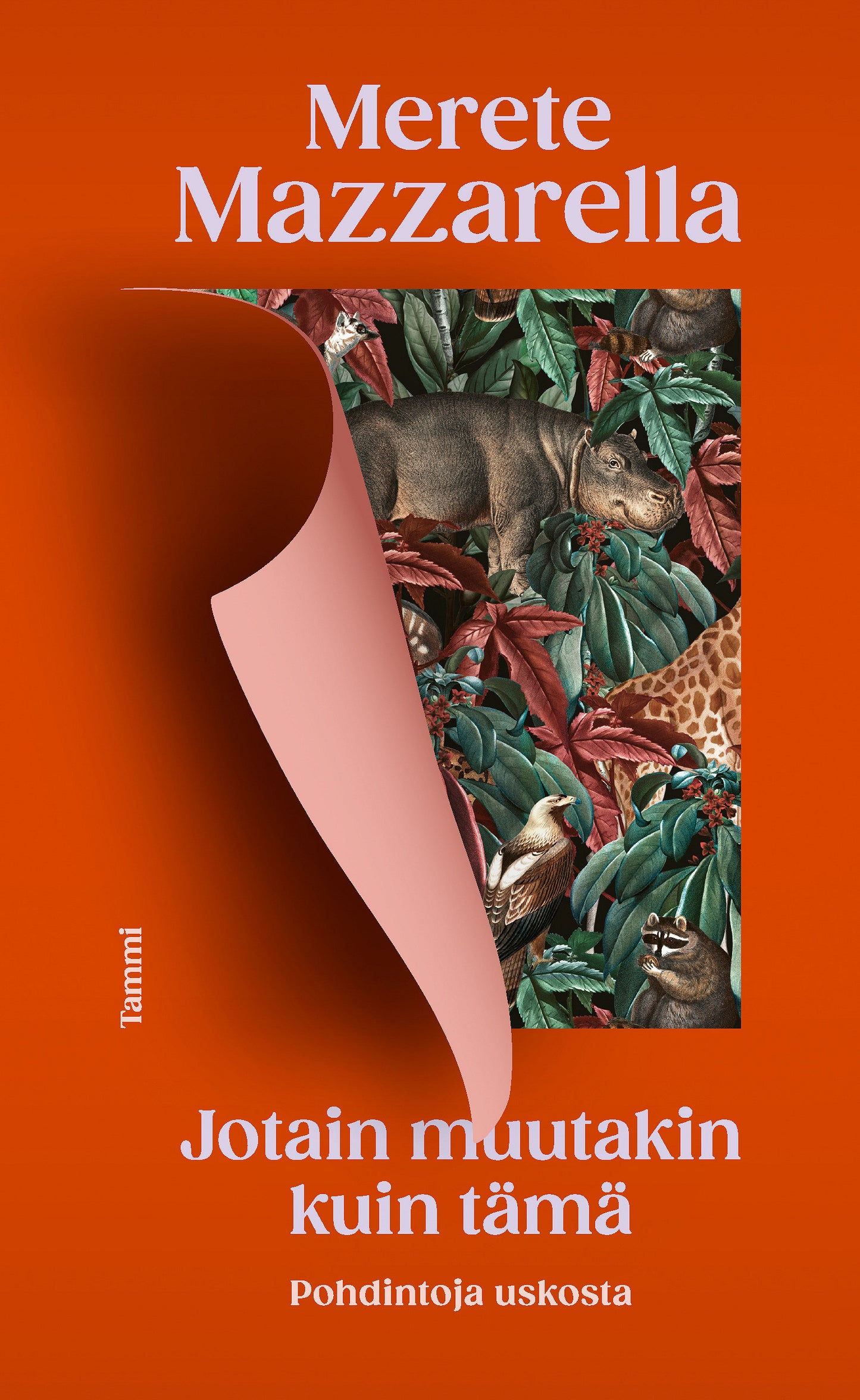 Jotain muutakin kuin tämä – E-bok