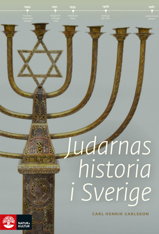 Judarnas historia i Sverige – E-bok