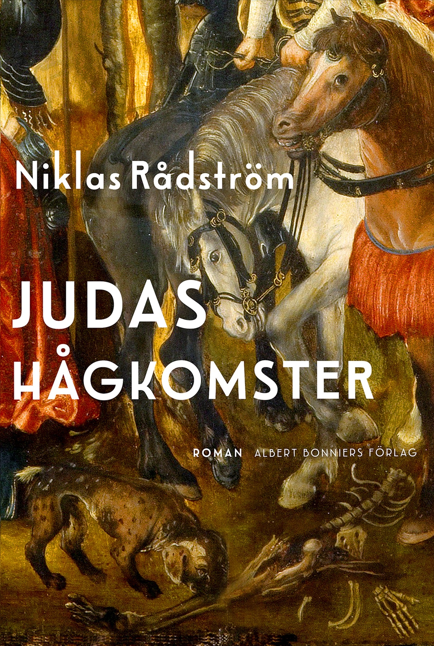 Judas hågkomster – E-bok
