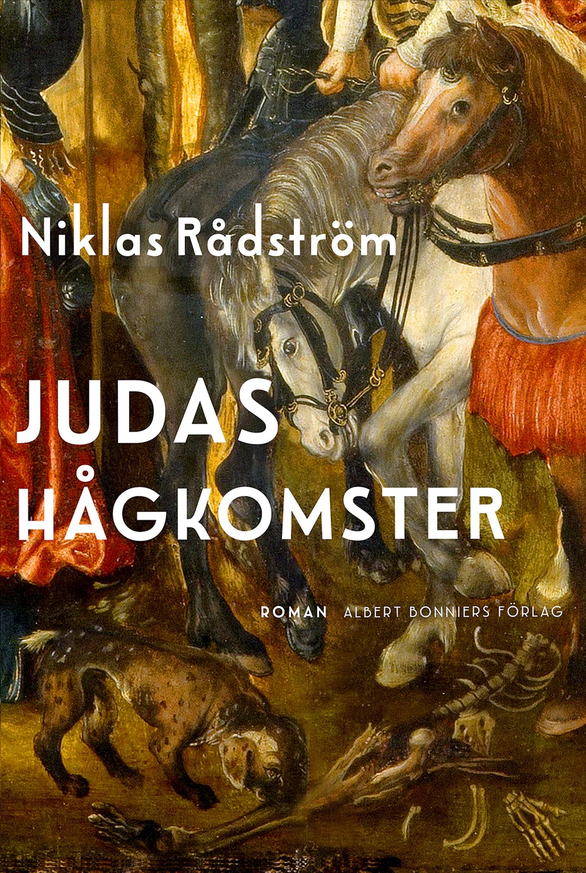 Judas hågkomster – E-bok
