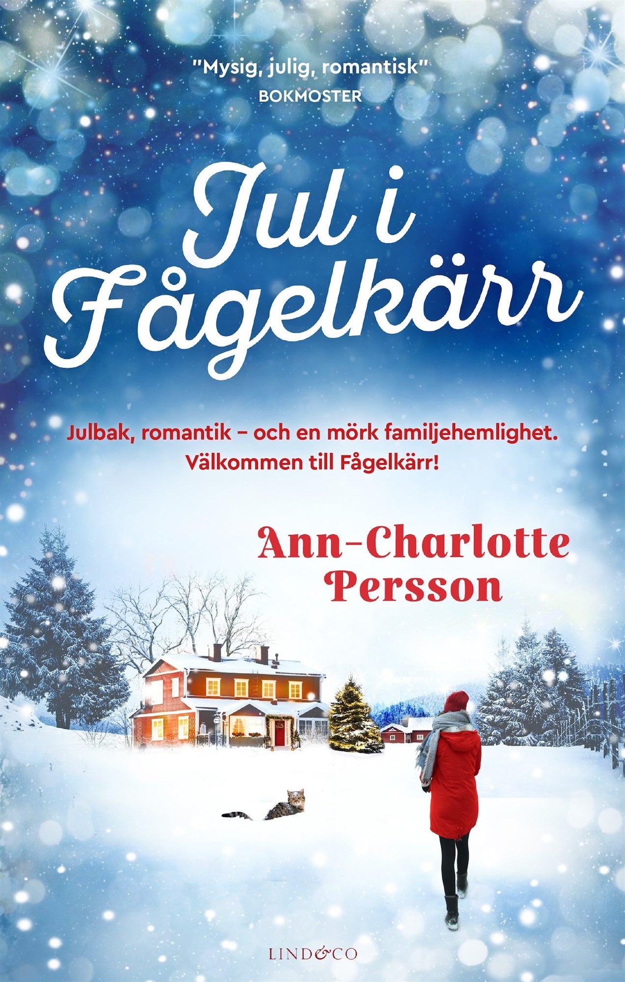 Jul i fågelkärr – E-bok