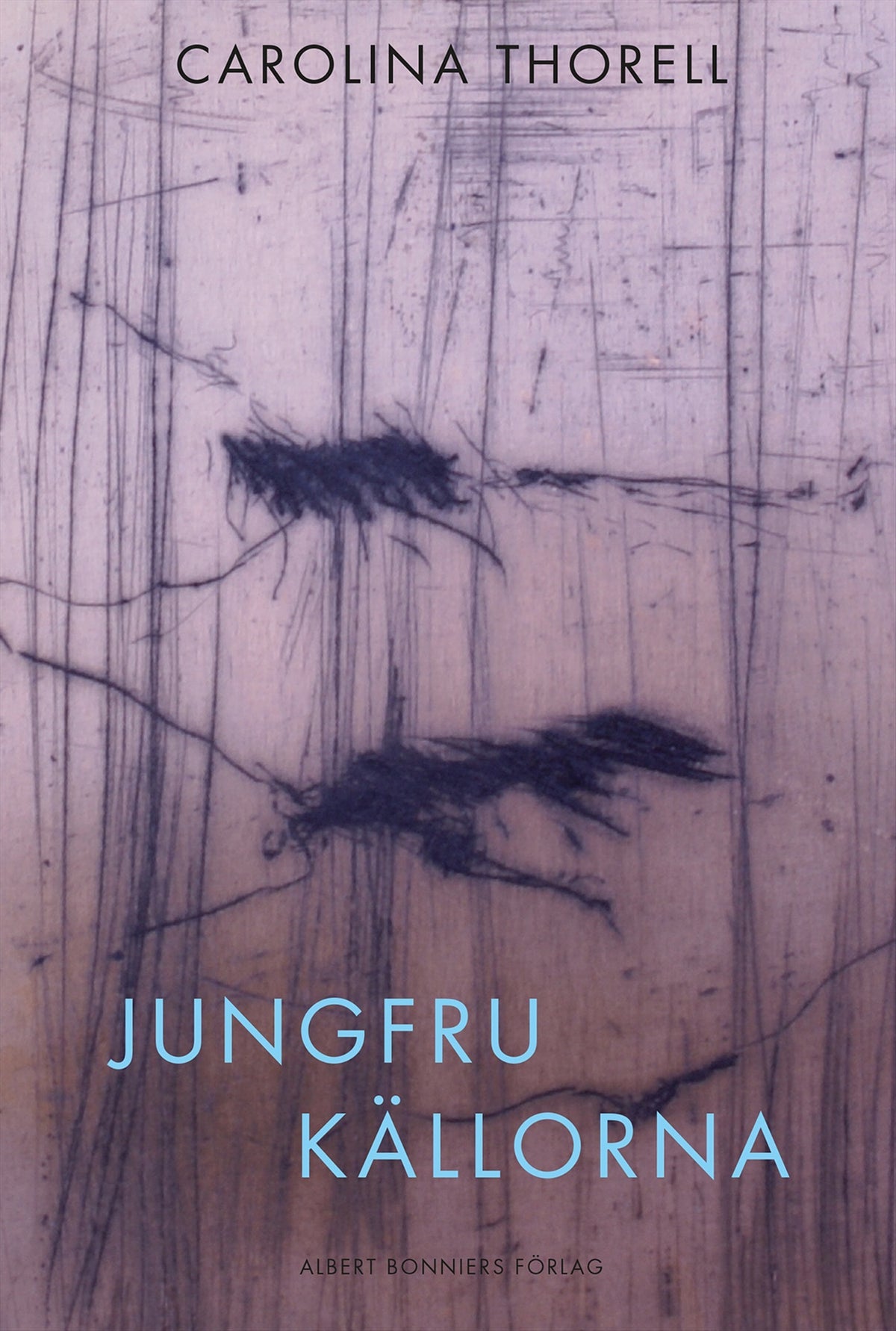 Jungfrukällorna – E-bok