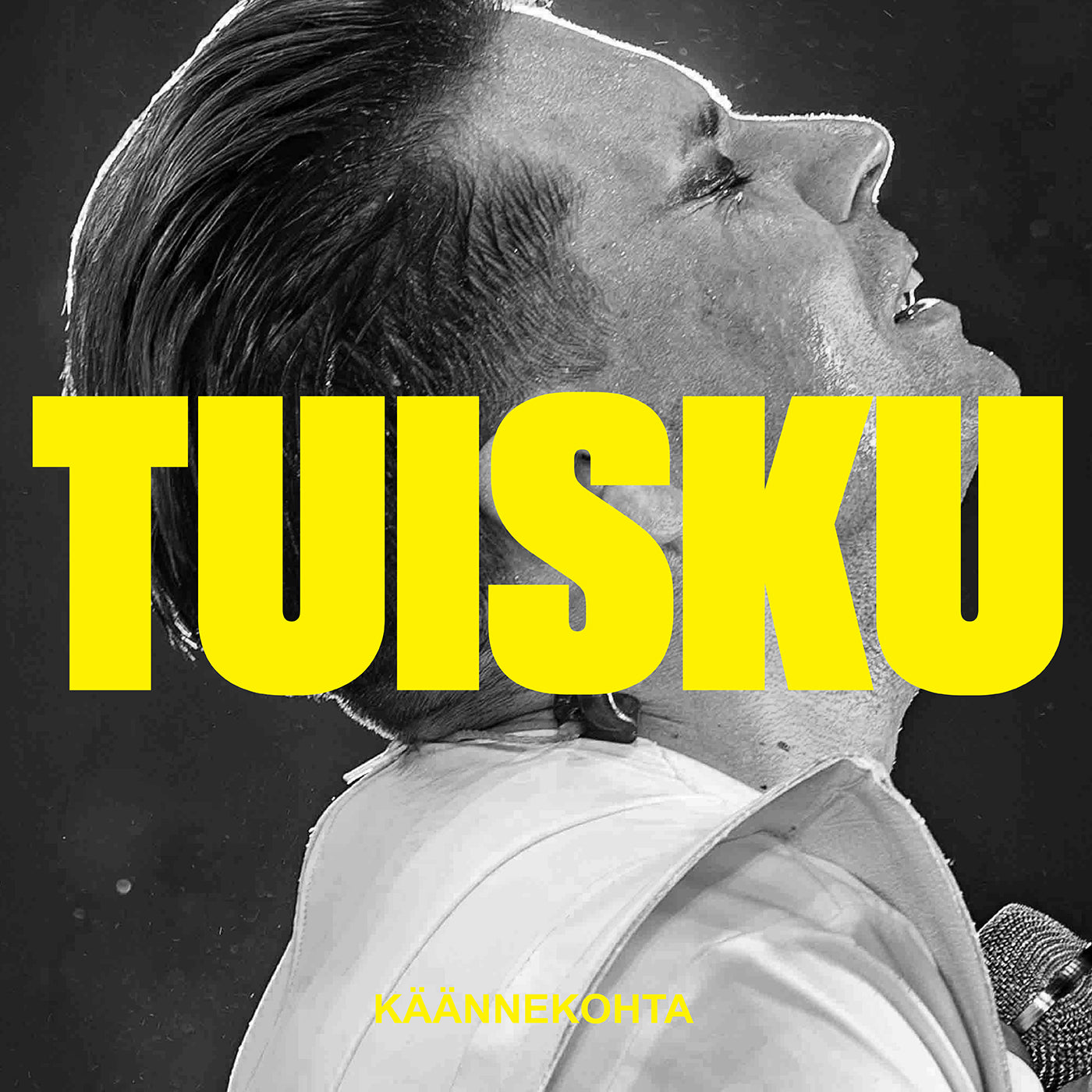 Käännekohta – Ljudbok
