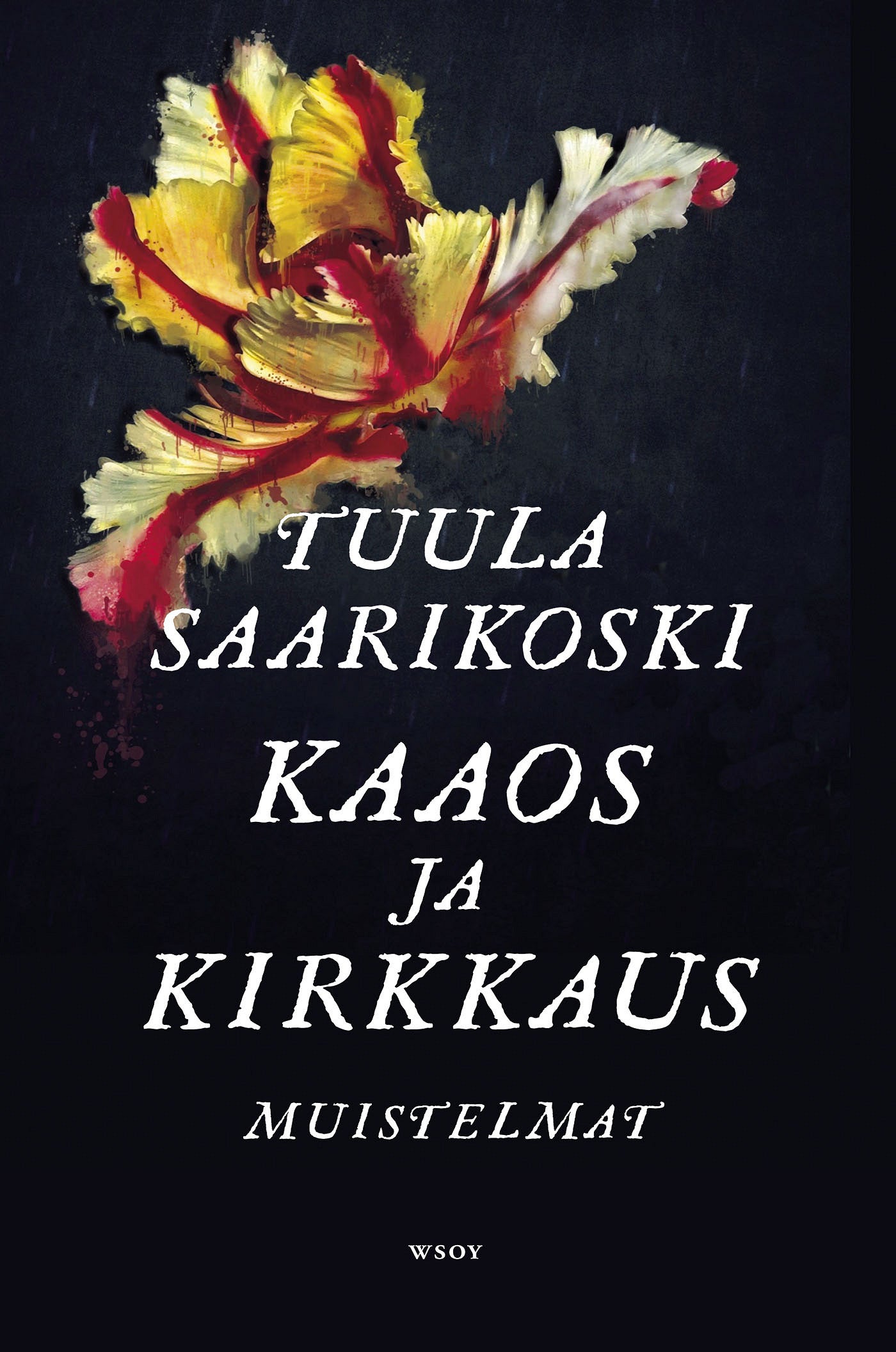 Kaaos ja kirkkaus – E-bok
