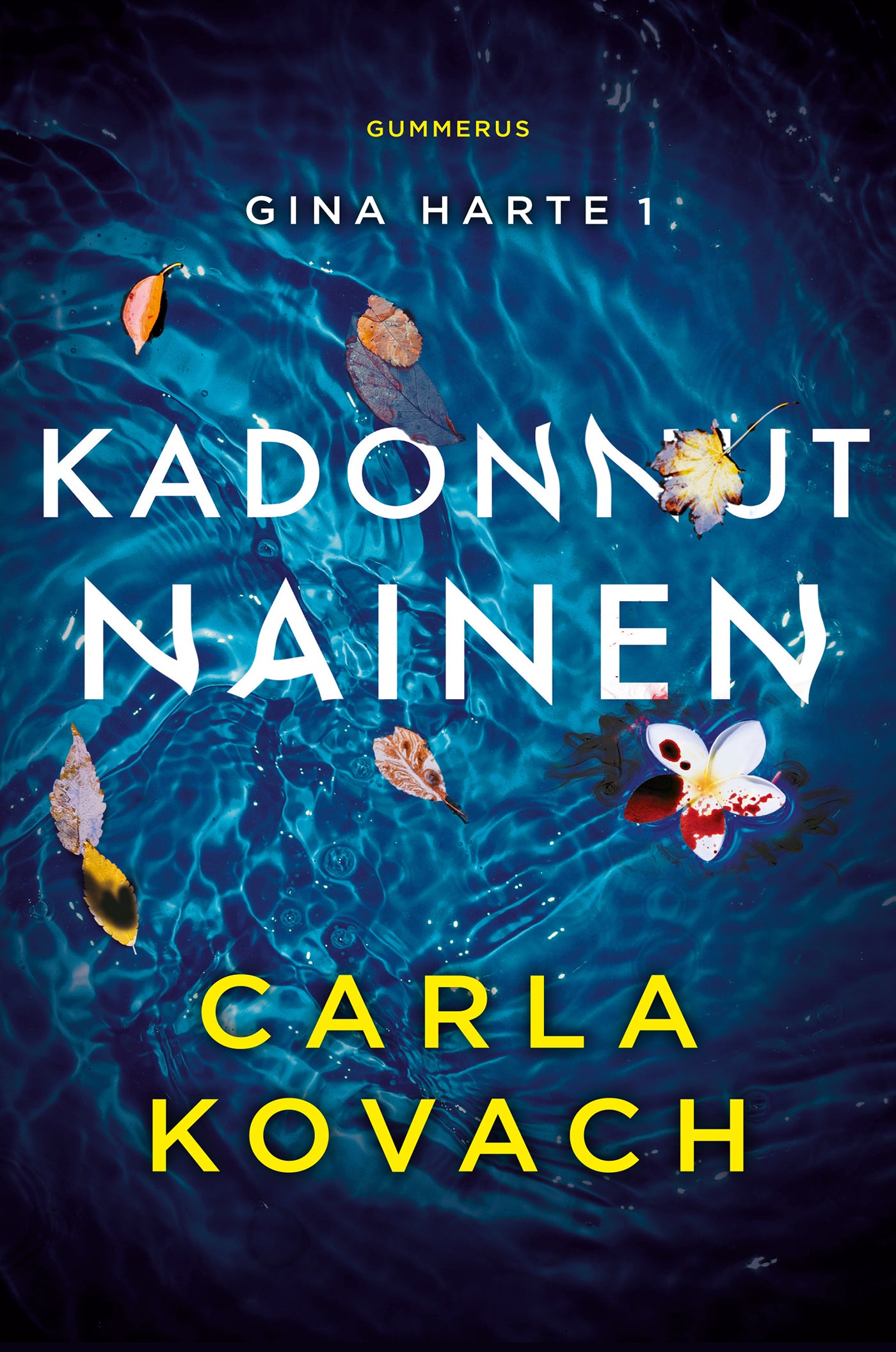 Kadonnut nainen – E-bok