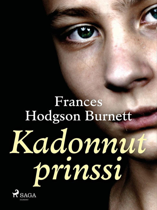 Kadonnut prinssi – E-bok