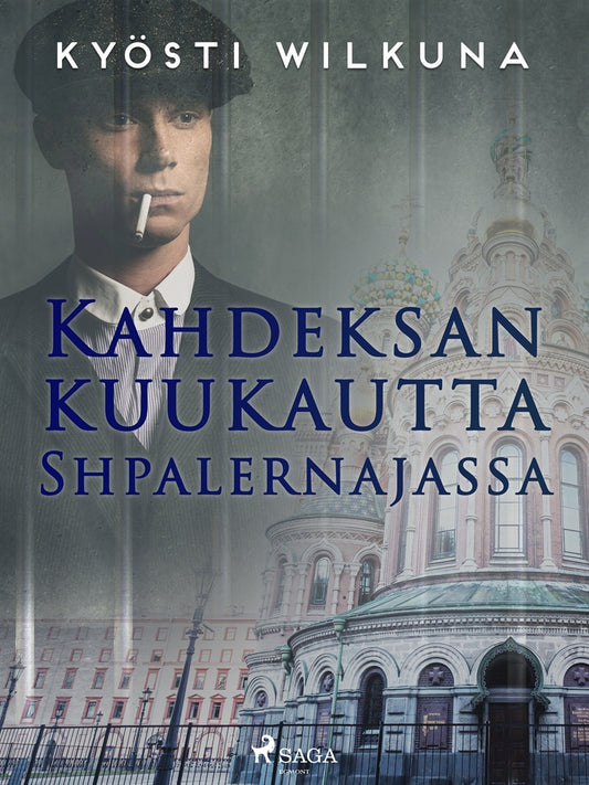 Kahdeksan kuukautta Shpalernajassa – E-bok