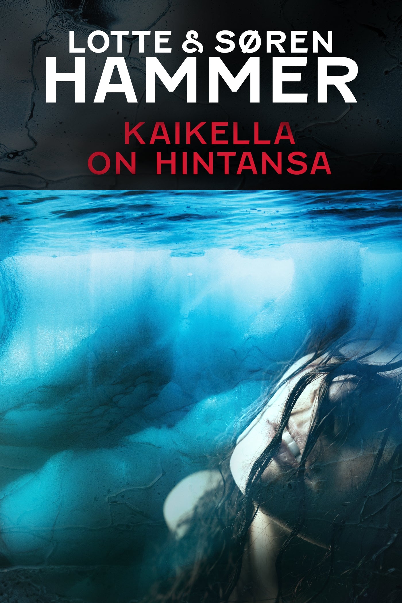 Kaikella on hintansa – E-bok