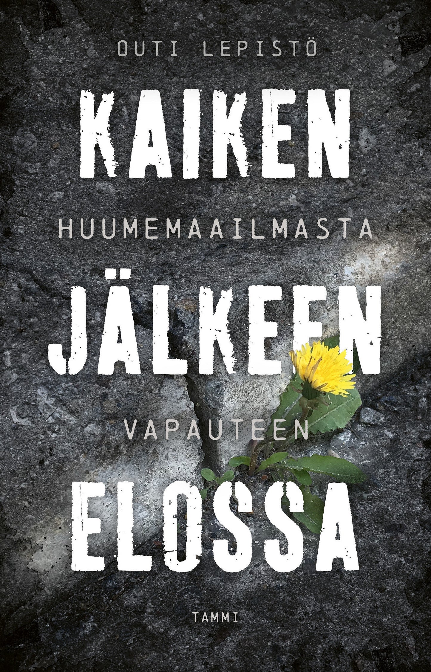 Kaiken jälkeen elossa – E-bok