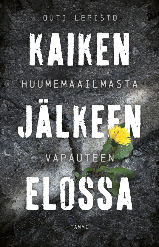 Kaiken jälkeen elossa – E-bok