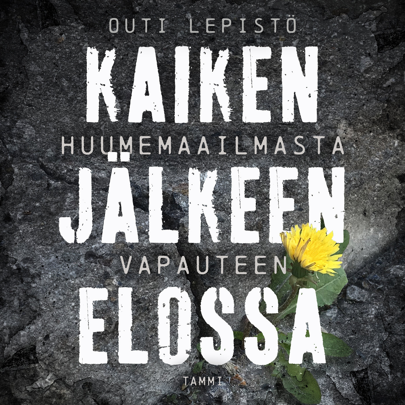 Kaiken jälkeen elossa – Ljudbok