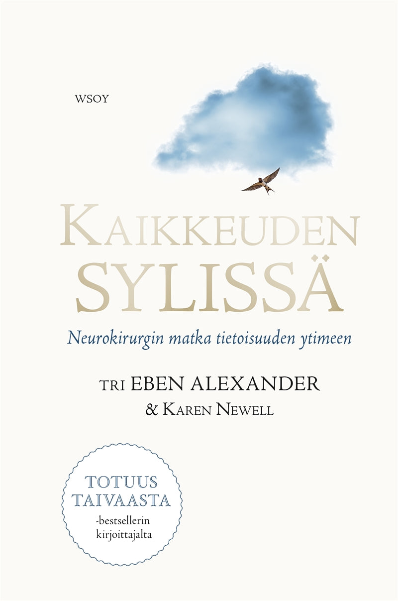 Kaikkeuden sylissä – E-bok