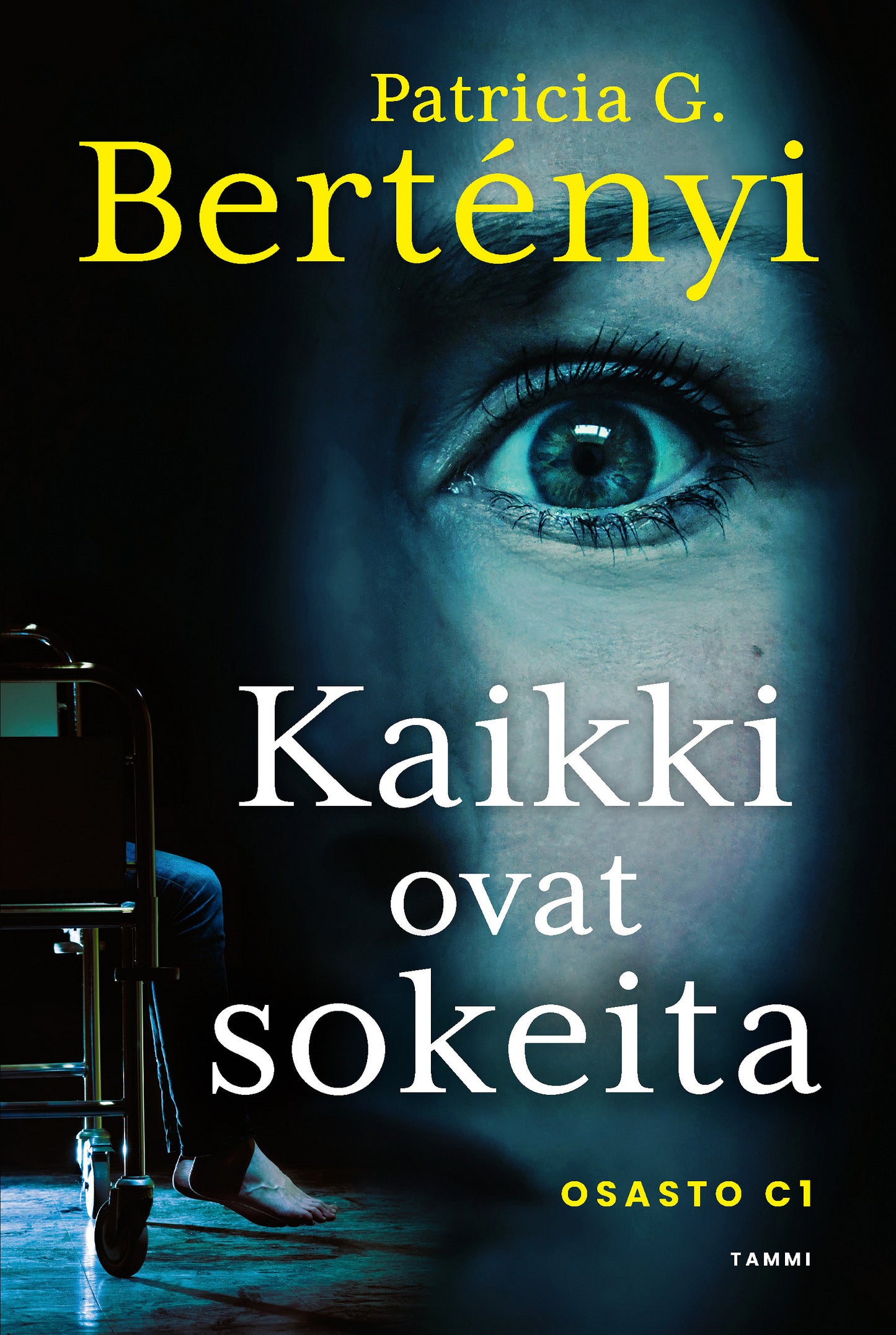 Kaikki ovat sokeita – E-bok