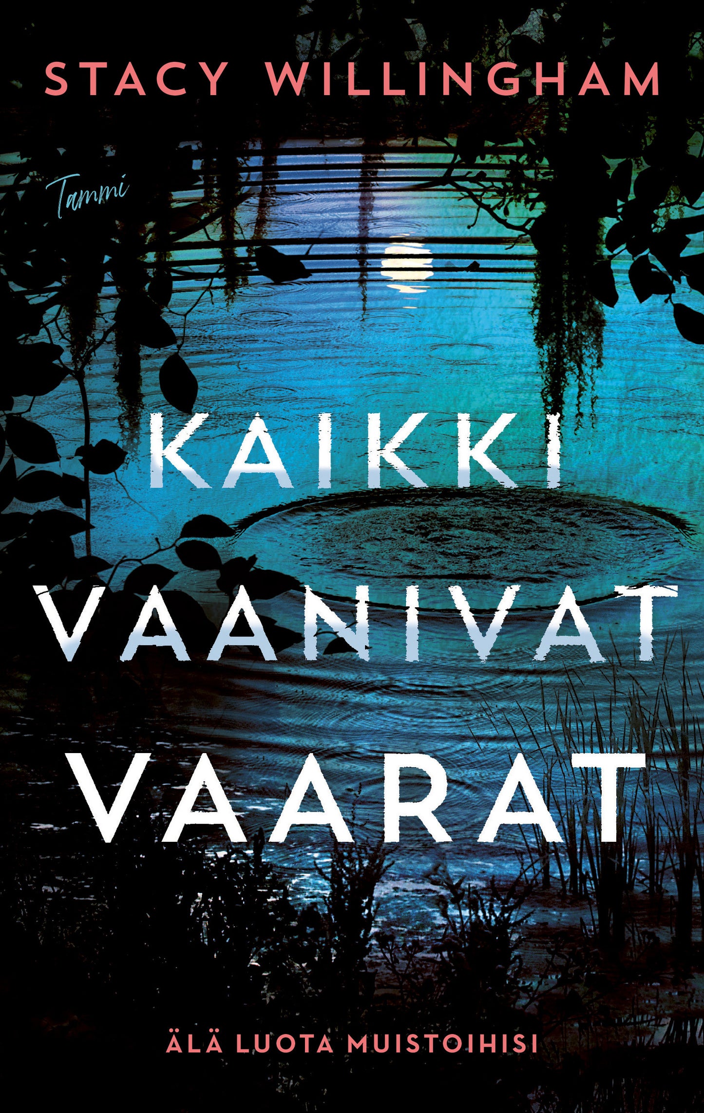 Kaikki vaanivat vaarat – E-bok