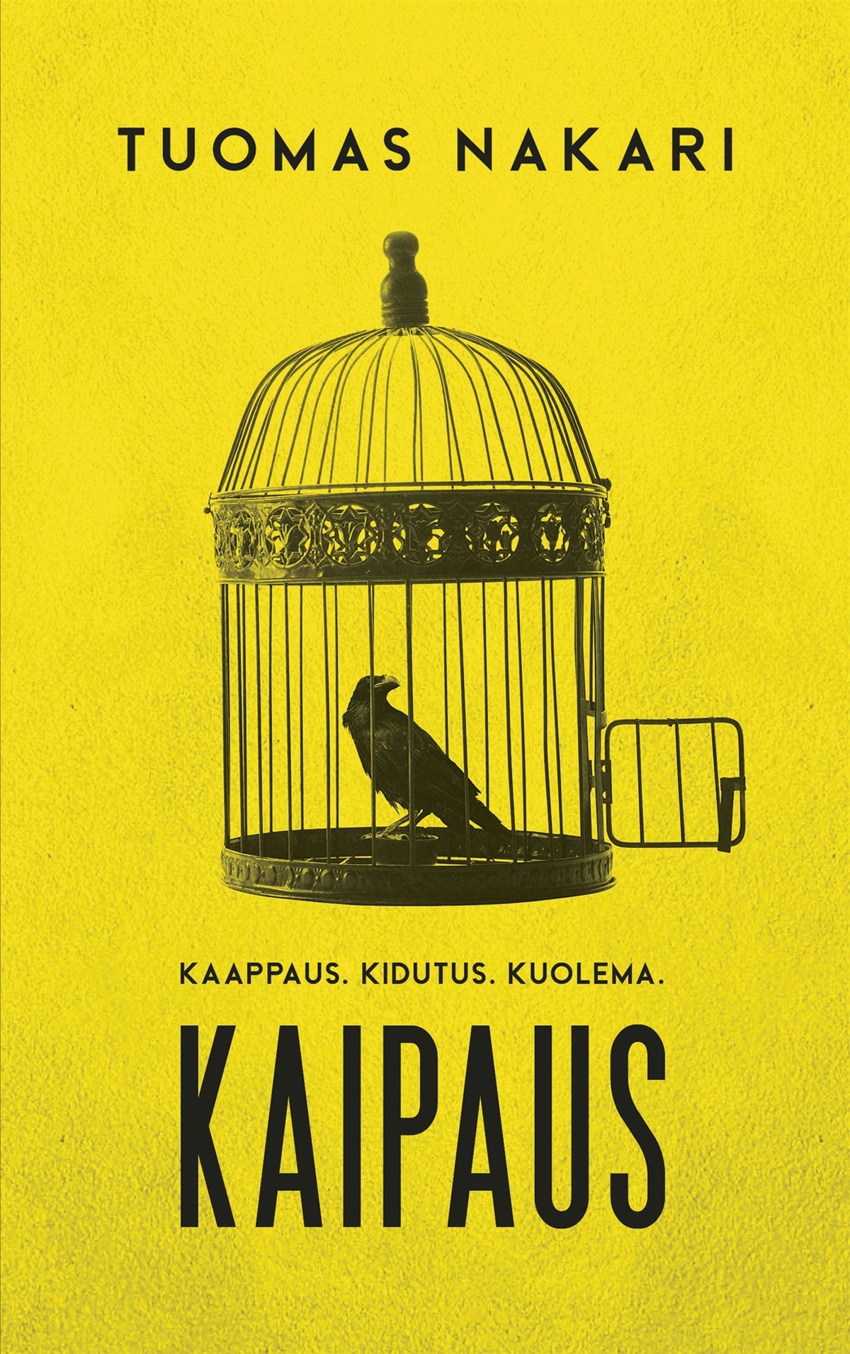 Kaipaus – E-bok