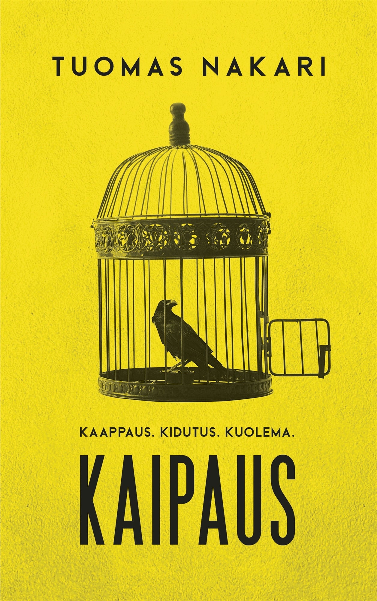 Kaipaus – E-bok