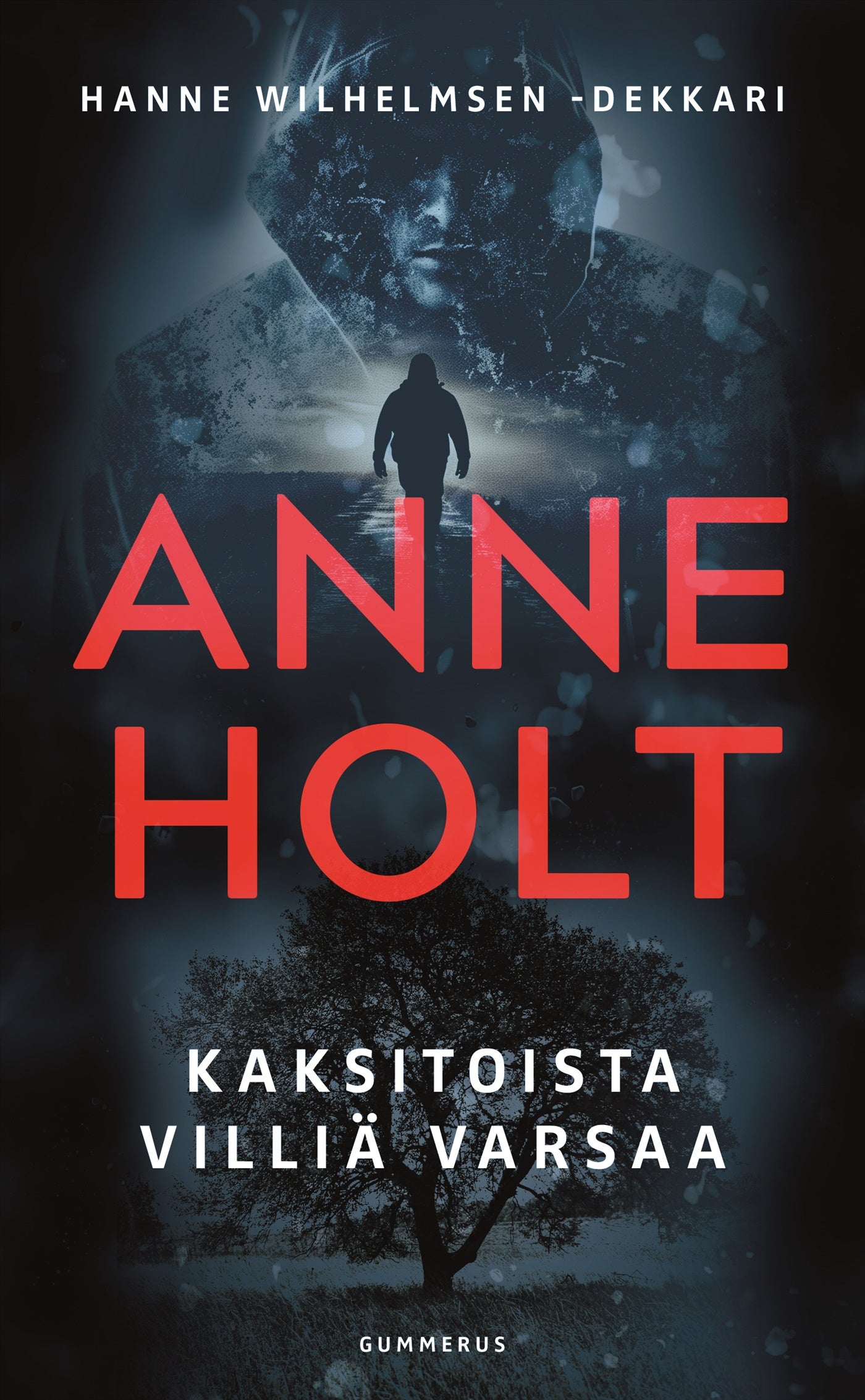 Kaksitoista villiä varsaa – E-bok