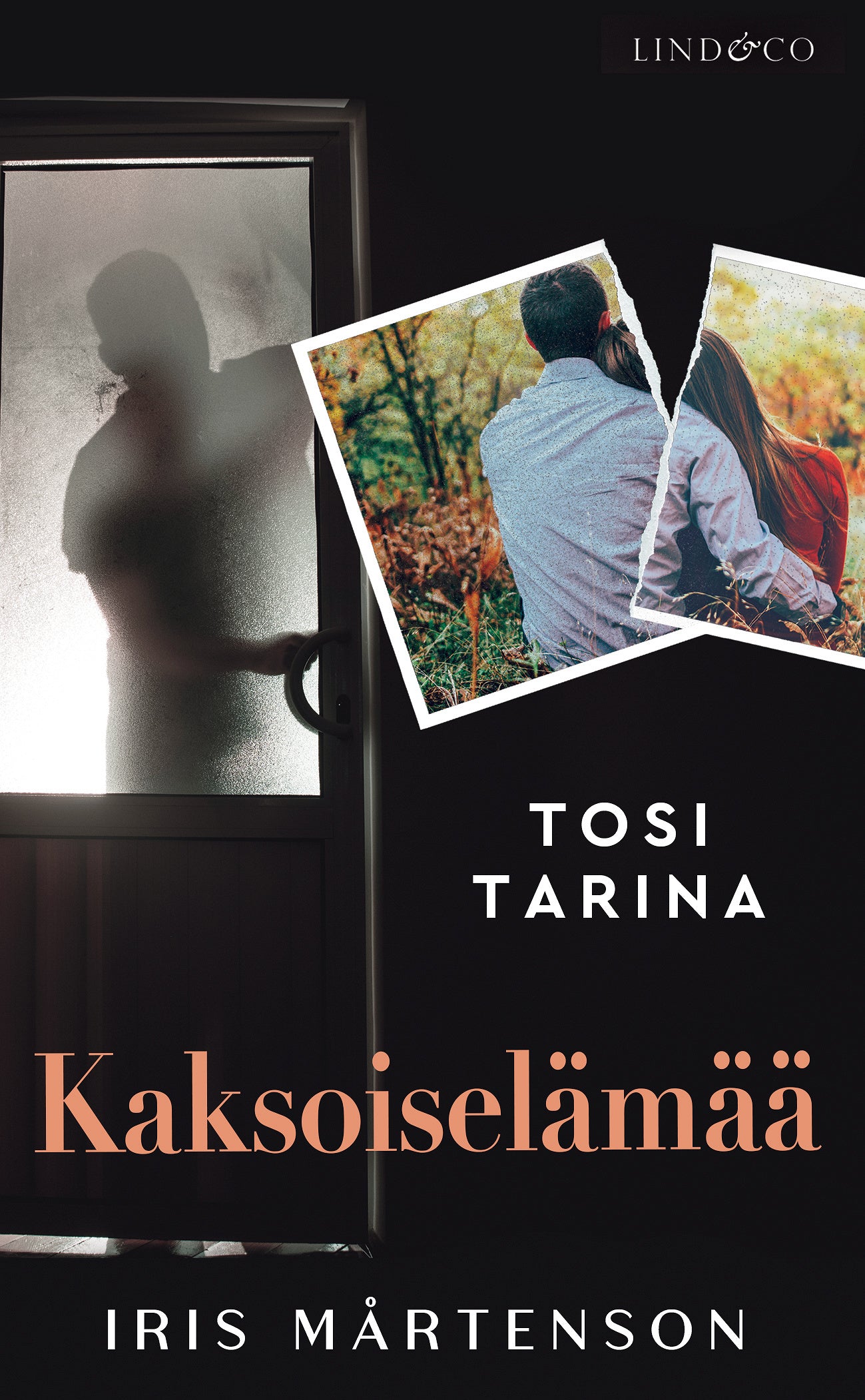 Kaksoiselämää – E-bok