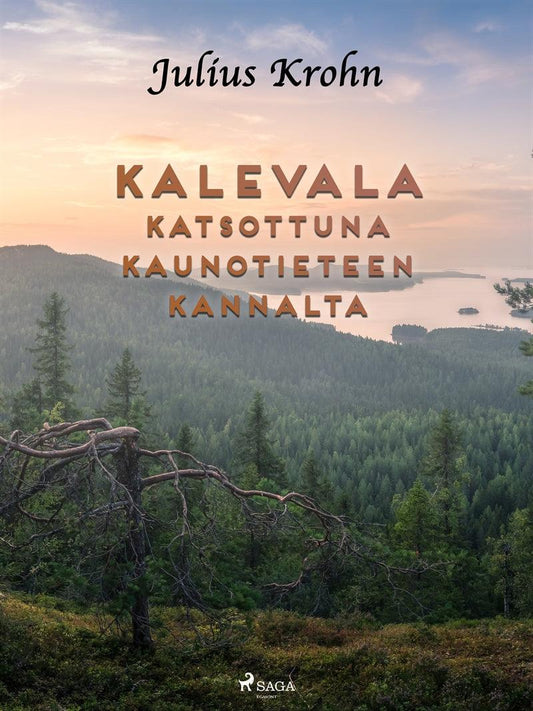 Kalevala katsottuna kaunotieteen kannalta – E-bok