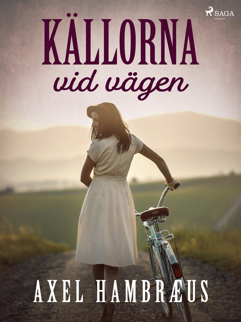 Källorna vid vägen – E-bok