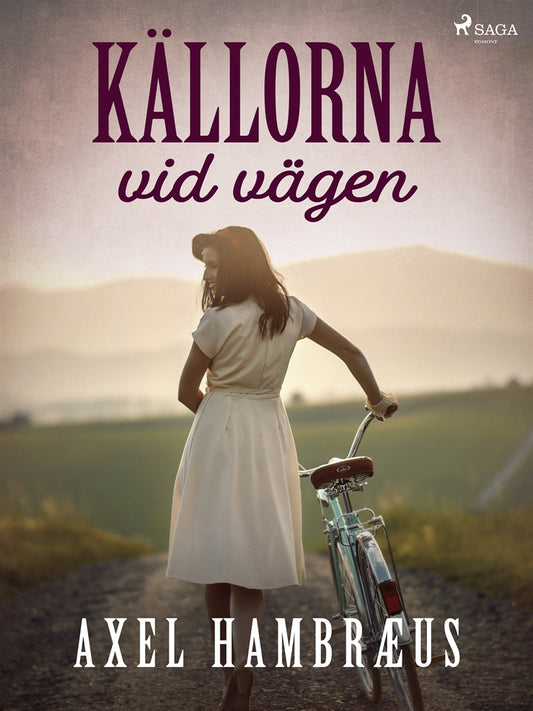 Källorna vid vägen – E-bok