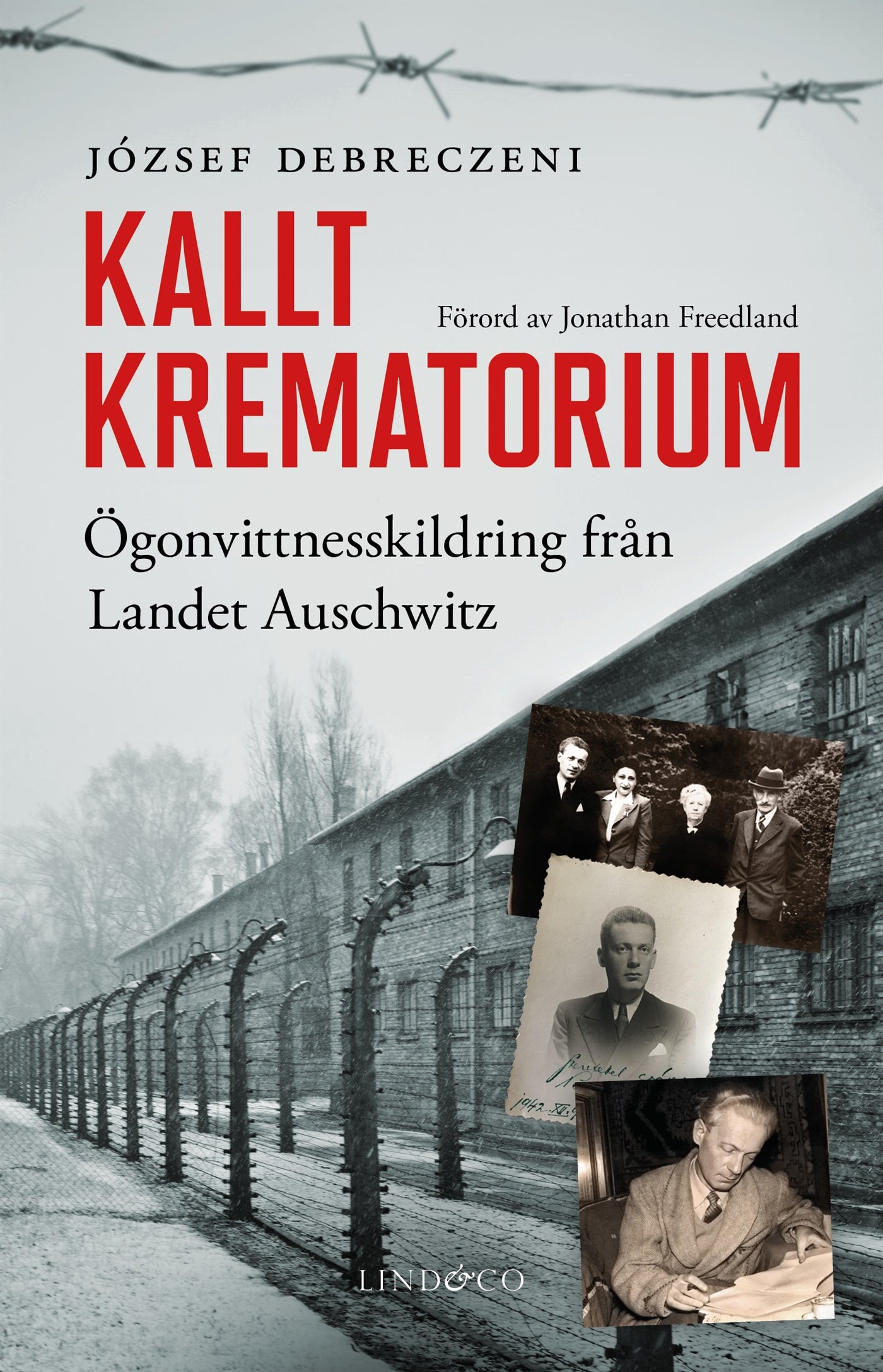Kallt krematorium – E-bok