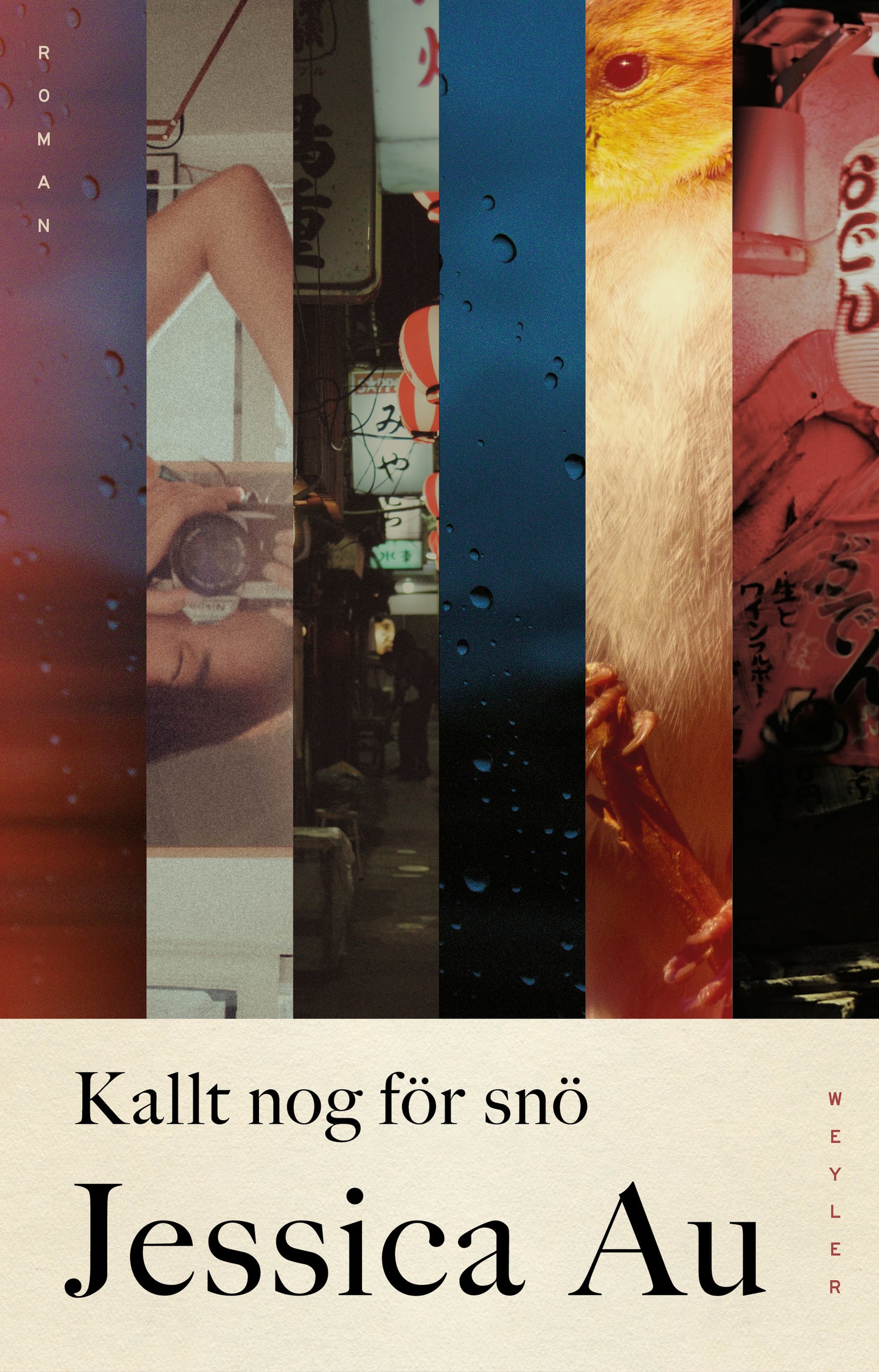 Kallt nog för snö – E-bok